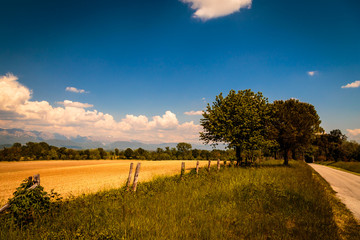 Fields of Italy in a spring day