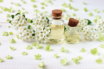 Fototapeta na wymiar Botanical skincare treatment. Essential oils bottles, flower blossom framed around. Fresh fragrance beauty care.