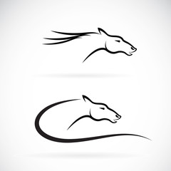 Fototapeta premium Vector images of horse head design on a white background