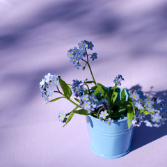 Forget-me-nots in bouquet on a purple background