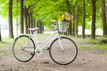 Fototapeta premium Vintage bicycle with flowers in basket at the park