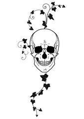 skull and ivy