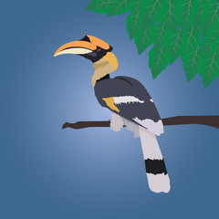 Great hornbill stand on the branch on blue background with leaf © hadkhanong