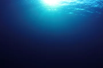 Meeresozean Unterwasser-Hintergrundfoto © Richard Carey