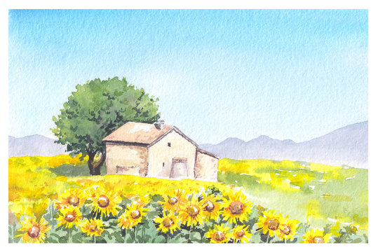 Rural farm - provencal house and sunflower field. Watercolor