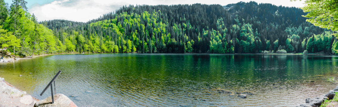 Panorama vom Feldsee im Schwarzwald Tourismus
