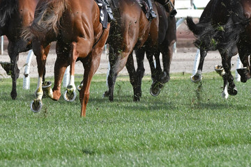 Horse racing action