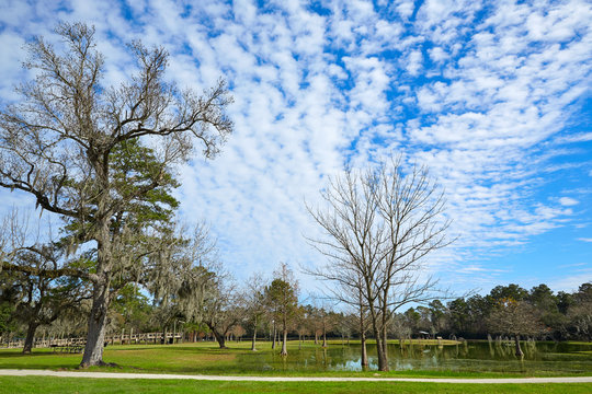 Tomball Burroughs Park In Houston Texas