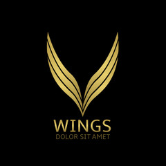 Golden Wings illustration