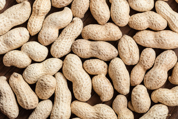 groundnut in the skin close-up