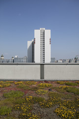 monotone residential building in Berlin, Germany with roof garden in front