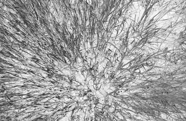 imaginative background