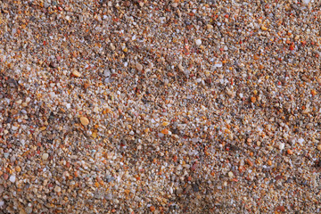 Beach sand texture.