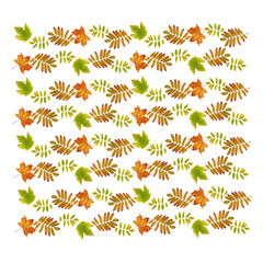 Autumn seamless pattern with dry leaves