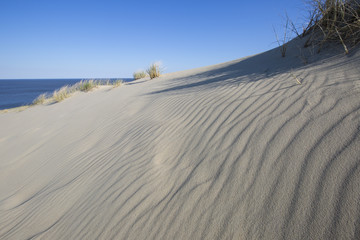 Nida, Klaipeda, Lithuania, dune, desert, sand, Kurshskaya