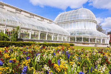 Palm House in Belfast