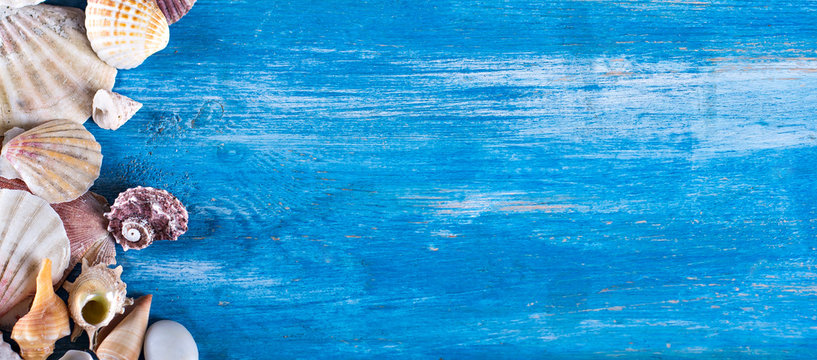 shells on the old blue wooden boards.  marine still life. time to rest,  concept of vacation, relaxation, technology