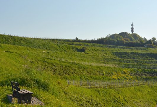  Parkbacnk bei dem terrassenf&ouml;rmigen Weinberg auf dem Schutterlindenberg bei Lahr, Baden Deutschland