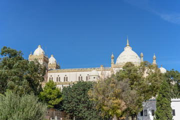 Fototapeta premium museum at carthage ruins near tunis