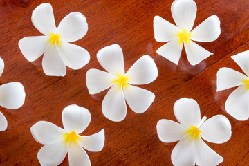 Naklejka na ściany i meble plumeria flowers on the wooden table