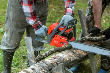 chop wood Chainsaw