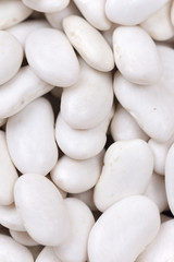 Raw white beans background macro close up
