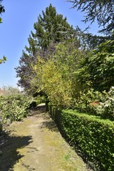 Fototapeta na wymiar Chemin traversant un pâté de maisons sous la nature luxuriante de la cité-Jardin Floréal à Watermael-Boitsfort