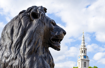 London, a lion of the basement of Nelson's monument in Trafalgar square