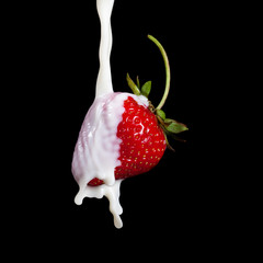 Strawberry Making A Splash. Isolated on black background. Macro photo of a strawberry in milk splashes and drops.