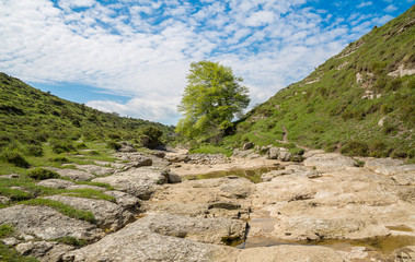 Salto del Nervión y alrededores en un día soleado