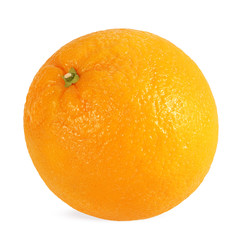Orange on a white background.