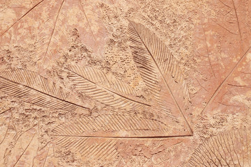 marks of leaf on the concrete background