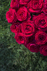 Bouquet of red roses in a box on the grass