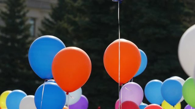 Color helium balloons. Festive balloons fastened together. 
