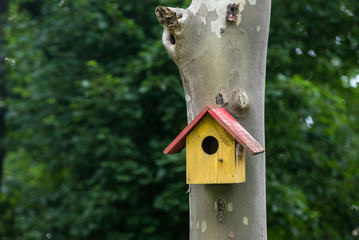 Colorful bird house in the forest