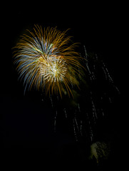 Festive fireworks in the night sky