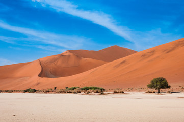 Fototapeta na wymiar Rote Namibsand-Dünen von Sossusvlei