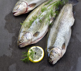 Raw rainbow trouts on a stone board with herbs and lemon, ready for cooking