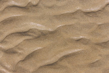 close up view beach sand background