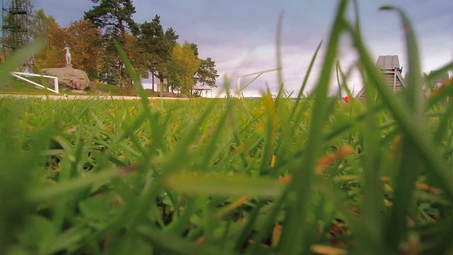 Green grass on the yard of a house in a small town in Estonia Kasmu which is a part of Lahemaa National Park