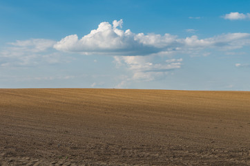 Fototapeta na wymiar Plowed brown field under blue sky