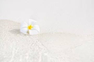 Papier Peint photo Lavable Frangipanier One single alone plumeria flower on white sand beach with sea wave line