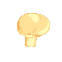 Cartoon mushroom in vector