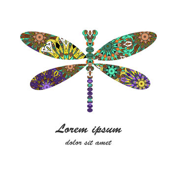 dragonfly icon vector illustration