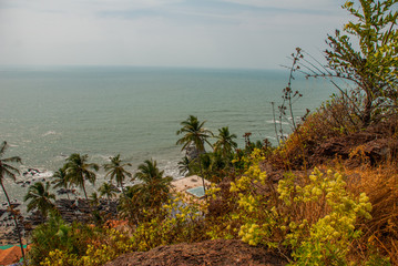 Arambol beach. Palm trees. Sea. Goa state, India.