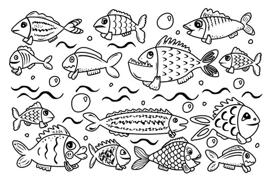 Fisch-Autobahn! (Finde 2 gleiche Fische!)