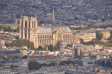 Fototapeta na wymiar Aerial view of Notre-Dame