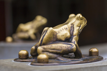 Fountain with golden lucky frog - the symbol of Torun city (Pola