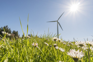 Windkraftwerk auf einer Blumenwiese -Ökologie und Nachhaltigkeit