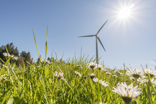 Windkraftwerk auf einer Blumenwiese -Ökologie und Nachhaltigkeit